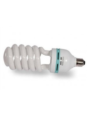 55watt Spiral Globes